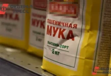 Вера Стручкова и Арктическая компания представили решения для Намы в Якутии vera struchkova i arkticheskaya kompaniya predstavili resheniya dlya namy v yakutii-infovzor-ru-0