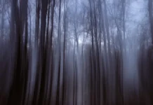 versii ischeznoveniya i nadezhdy semi usolczevyh iz krasnoyarskogo kraya-infovzor-ru-0
