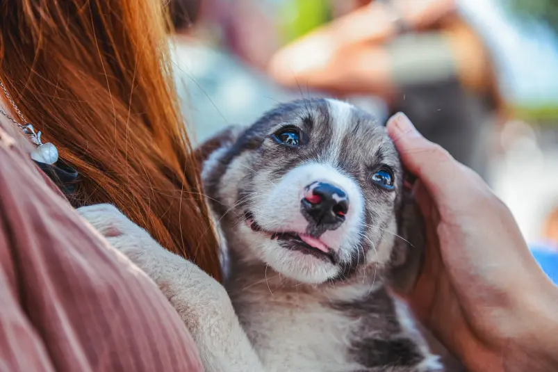 Фото: primamedia.ru