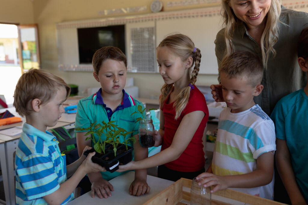 Учительница вокруг ящика с растениями