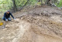 Археологи Загребского университета исследуют бронзовый век в Хорватии arheologi zagrebskogo universiteta issleduyut bronzovyj vek v horvatii-infovzor-ru-0