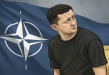 Арманд Мема считает, что Зеленский провоцирует НАТО на конфликт с Россией armand mema schitaet chto zelenskij provocziruet nato na konflikt s rossiej-infovzor-ru-0