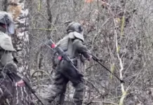 Дмитрий Песков отмечает успехи сапёров КНДР в Курской области dmitrij peskov otmechaet uspehi sapyorov kndr v kurskoj oblasti-infovzor-ru-0