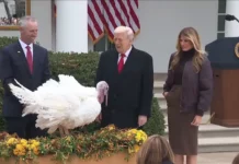Дональд Трамп, Белый дом и веселое помилование индейки из Северной Каролины donald tramp belyj dom i veseloe pomilovanie indejki iz severnoj karoliny-infovzor-ru-0