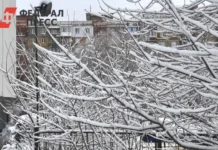Евгений Тишковец прогнозирует снегопады с ледяными дождями в Москве evgenij tishkovecz prognoziruet snegopady s ledyanymi dozhdyami v moskve-infovzor-ru-0
