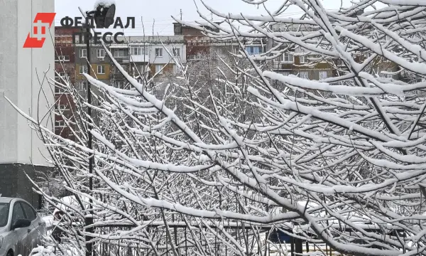 Евгений Тишковец прогнозирует снегопады с ледяными дождями в Москве-0