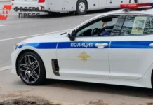 Госавтоинспекция Белгородской области проводит расследование ДТП с Мерседес Бенц Спринтер и ДАФ в Малобыково gosavtoinspekcziya belgorodskoj oblasti provodit rassledovanie dtp s mersedes bencz sprinter i daf v malobykovo-infovzor-ru-0