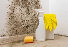 Григорий Белозеров рассказал о профилактике грибковых заболеваний и роли антибиотиков grigorij belozerov rasskazal o profilaktike gribkovyh zabolevanij i roli antibiotikov-infovzor-ru-0