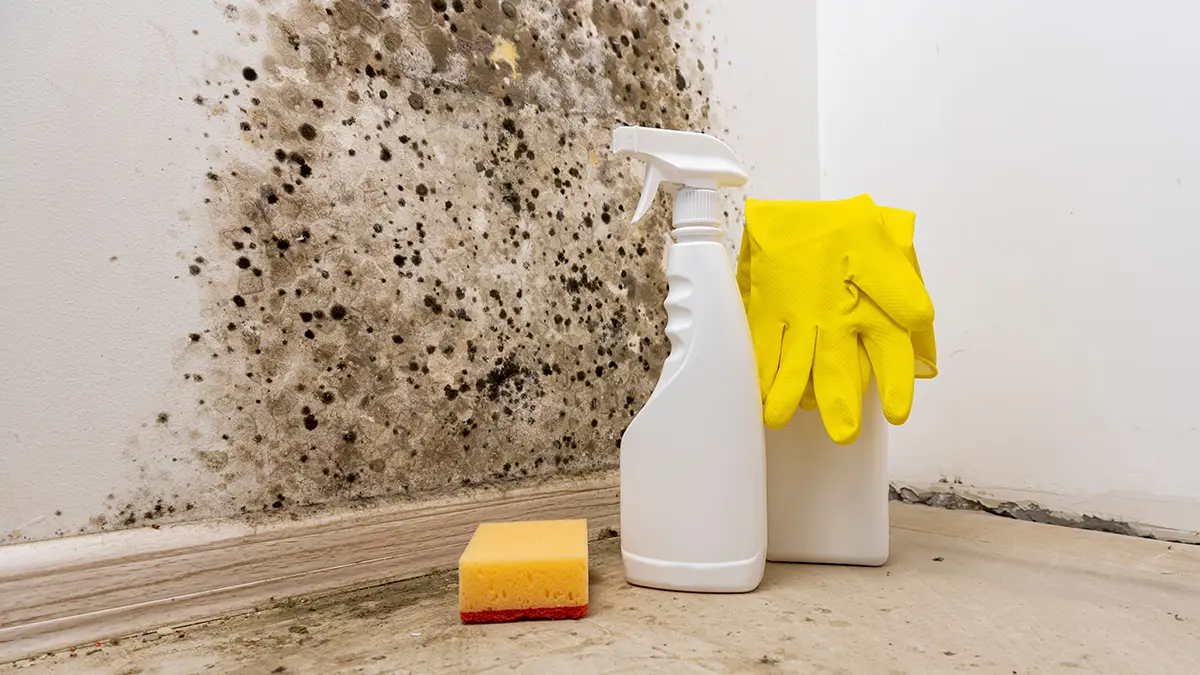 Лор-хирург Белозеров предупредил о растущей угрозе грибковых заболеваний