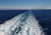 Илья и Светлана ожидают Сочи с надеждой на Seabridge ilya i svetlana ozhidayut sochi s nadezhdoj na -infovzor-ru-0