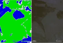 Искусственный интеллект от СО РАН анализирует космоснимки для защиты лесов Красноярья iskusstvennyj intellekt ot so ran analiziruet kosmosnimki dlya zashhity lesov krasnoyarya-infovzor-ru-0