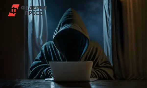 Калининградская область противостоит мошенникам с помощью Госуслуг-0