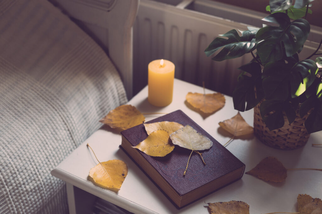 Книга с листьями, свечами и цветком в горшке на тумбочке
