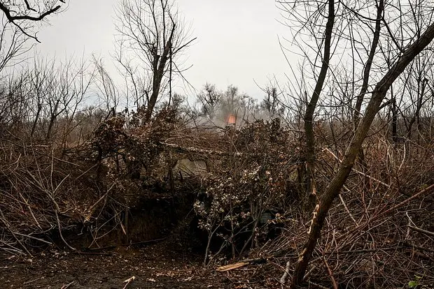 Вводная картинка
