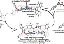krojtor i martynov predstavili proryv v hiralnosti dlya sinteza lekarstv-infovzor-ru-0