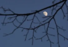 moskovskij planetarij priglashaet uvidet superlunie v 2025 godu-infovzor-ru-0