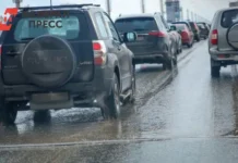 na brestskoj granicze s polshej zafiksirovan rost trafika do 2500 mashin-infovzor-ru-0