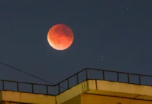 ne propustite volnuyushhee superlunie yarkaya luna ozarit nebo nad zemlej 6 noyabrya-infovzor-ru-0