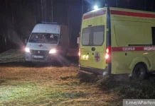 Парфенчиков сообщил, что падение Су-30 в Карелии прошло без жертв parfenchikov soobshhil chto padenie su30 v karelii proshlo bez zhertv-infovzor-ru-0