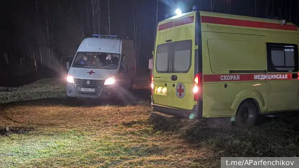 Парфенчиков: Жители Карелии на земле не пострадали в результате падения Су-30