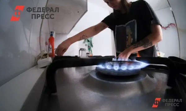 Переход на новый формат газификации открывает перспективы для Псковской области-0