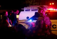 poslednie sobytiya s vecherinkoj v ogajo i proisshestviem v leningradskoj oblasti-infovzor-ru-0