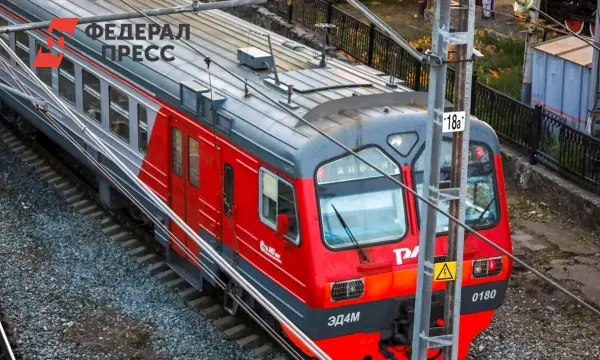 Решительные действия Фазимат Волошина спасли пассажирку в поезде Москва – Рязань!-0