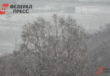ugms soobshhaet o pogode v novosibirske i aeroportu tolmachevo-infovzor-ru-0