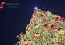 В Челябинске на площади Революции прошла новогодняя ярмарка от Алексея Лошкина v chelyabinske na ploshhadi revolyuczii proshla novogodnyaya yarmarka ot alekseya loshkina-infovzor-ru-0