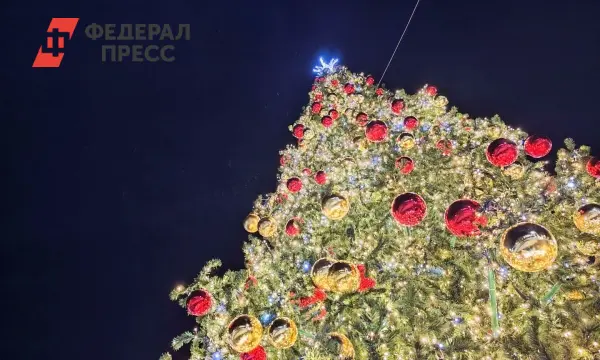 В Челябинске на площади Революции прошла новогодняя ярмарка от Алексея Лошкина-0