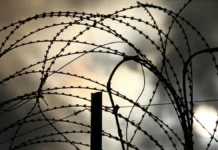 В Москве задержали убийцу семьи Хорена Казаряна, найденного в Костромской области v moskve zaderzhali ubijczu semi horena kazaryana najdennogo v kostromskoj oblasti-infovzor-ru-0