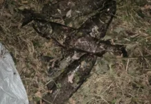 В нацпарке Земля леопарда задержан браконьер, полиция Приморья защищает ресурсы. v naczparke zemlya leoparda zaderzhan brakoner policziya primorya zashhishhaet resursy-infovzor-ru-0