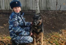 В Приморье Зорро из УМВД России оперативно раскрыл кражу и поддержал жителей v primore zorro iz umvd rossii operativno raskryl krazhu i podderzhal zhitelej-infovzor-ru-0