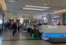 В ТРЦ «Мега Химки» успешно сработали системы безопасности во время эвакуации v trcz mega himki uspeshno srabotali sistemy bezopasnosti vo vremya evakuaczii-infovzor-ru-0