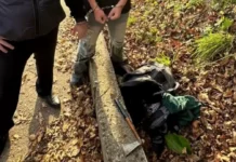 В Туапсинском районе произошла история с подростком и бабушкой с топором v tuapsinskom rajone proizoshla istoriya s podrostkom i babushkoj s toporom-infovzor-ru-0