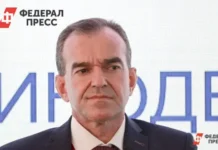 Вениамин Кондратьев проводит прямую линию для жителей Краснодарского края veniamin kondratev provodit pryamuyu liniyu dlya zhitelej krasnodarskogo kraya-infovzor-ru-0