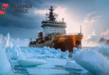 Владимир Путин открыл закладку ледокола «Сталинград», подчеркивая вклад в Арктику vladimir putin otkryl zakladku ledokola stalingrad podcherkivaya vklad v arktiku-infovzor-ru-0