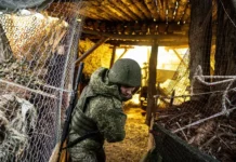 Волчанск — следующий? Капитан Дандыкин предсказывает развитие наступления volchansk sleduyushhij kapitan dandykin predskazyvaet razvitie nastupleniya-infovzor-ru-0