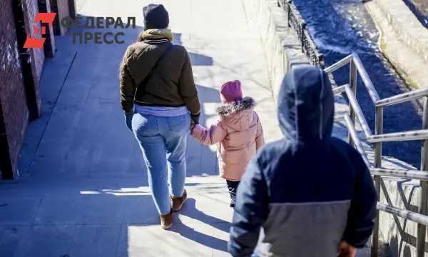 Волынец и Милонов предлагают зарплату родителям для роста рождаемости-0