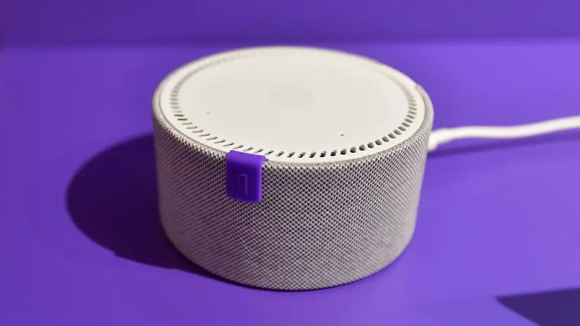 Киберэксперт советует регулярно чистить историю голосовых запросов к колонке