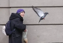 Алексей Говырин из Госдумы и Союз пенсионеров обсуждают рост пенсий к 2026 году aleksej govyrin iz gosdumy i soyuz pensionerov obsuzhdayut rost pensij k 2026 godu-infovzor-ru-0