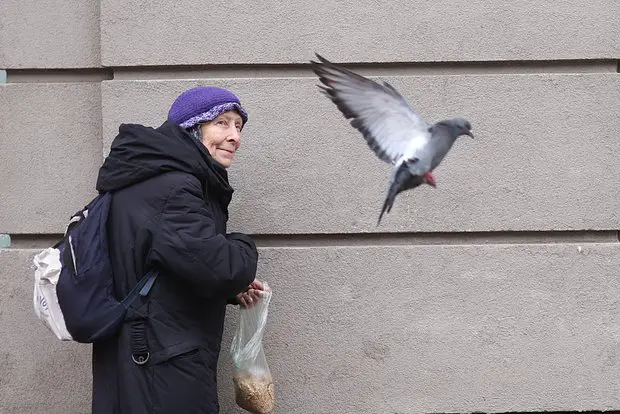 Вводная картинка