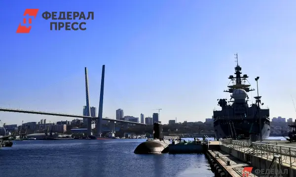 Большой Владивосток в Приморье стремится стать миллионником, опираясь на опыт Сеула и Шанхая-0