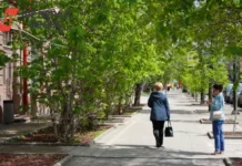 Цифровые инновации в умном городе Красноярске к 400-летию от министерства czifrovye innovaczii v umnom gorode krasnoyarske k 400letiyu ot ministerstva-infovzor-ru-0