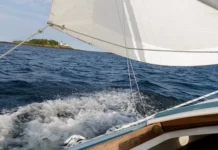 Дейрдре Сибли и Паскаль исследуют загадку Мадагаскара и добро моряков dejrdre sibli i paskal issleduyut zagadku madagaskara i dobro moryakov-infovzor-ru-0