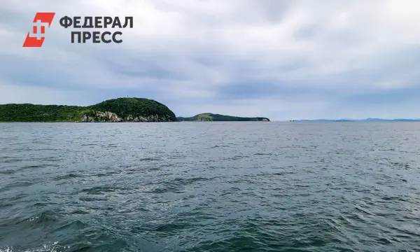 Эксперты МАГАТЭ оценят безопасность сбросов воды с АЭС Фукусима-1 в декабре-0
