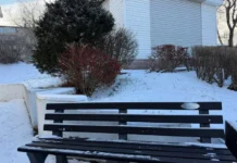 Фокино устанавливает у ЗАГСа антивандальные скамейки из полимерпесчаного композита fokino ustanavlivaet u zagsa antivandalnye skamejki iz polimerpeschanogo kompozita-infovzor-ru-0