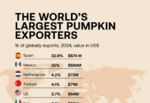 Испания и Мексика рассказали о мировом успехе в выращивании тыквы ispaniya i meksika rasskazali o mirovom uspehe v vyrashhivanii tykvy-infovzor-ru-0