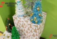 Как соблюсти правила МЧС и избежать штрафов в Новый год kak soblyusti pravila mchs i izbezhat shtrafov v novyj god-infovzor-ru-0