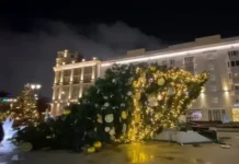 На Тверском бульваре в центре Москвы упала большая елка na tverskom bulvare v czentre moskvy upala bolshaya elka-infovzor-ru-0